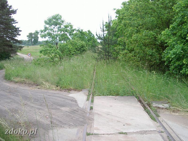 2005-06-06.050 linia skoki-janowiec ok. 21km widok w kier janowca.JPG - linia Janowiec Wielkopolski - Skoki, ok. 21 km, widok w kierunku Popowa Kocielnego.
